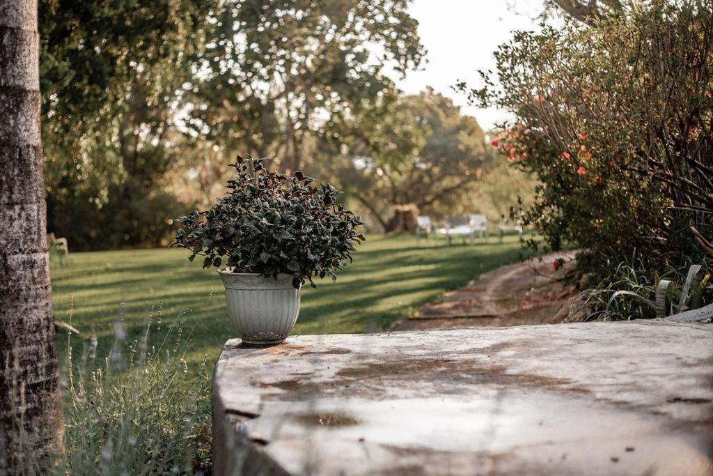 האזיביו Linvale Country Lodge מראה חיצוני תמונה