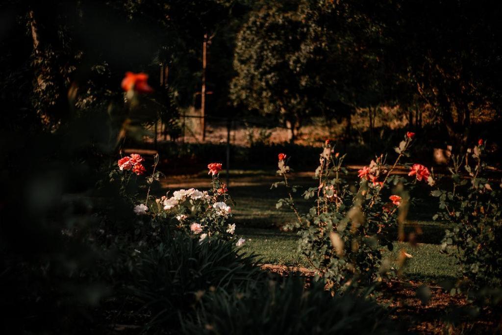 האזיביו Linvale Country Lodge מראה חיצוני תמונה